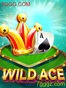 Descubra o Mundo de WildAce: Um Guia Completo para Iniciantes